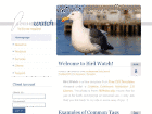 Preview birdwatch - FREE HTML CSS JavaScript Template