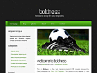 Preview boldness - FREE HTML CSS JavaScript Template