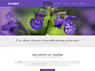 Preview catmint - FREE HTML CSS JavaScript Template