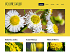 Preview coloregiallo - FREE HTML CSS JavaScript Template