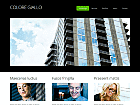 Preview consecutive - FREE HTML CSS JavaScript Template