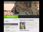 Preview discovery - FREE HTML CSS JavaScript Template