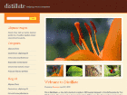Preview distillate - FREE HTML CSS JavaScript Template