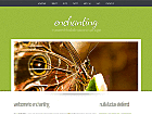 Preview enchanting - FREE HTML CSS JavaScript Template