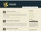 Preview interlude - FREE HTML CSS JavaScript Template