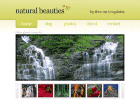 Preview naturalbeauties - FREE HTML CSS JavaScript Template