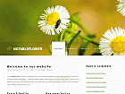 Preview notableflower - FREE HTML CSS JavaScript Template