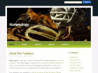 Preview numerology - FREE HTML CSS JavaScript Template