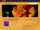 Preview orangeflower - FREE HTML CSS JavaScript Template