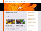 Preview organicrhythm - FREE HTML CSS JavaScript Template