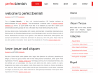 Preview perfectblemish - FREE HTML CSS JavaScript Template