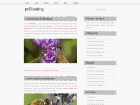 Preview pollinating - FREE HTML CSS JavaScript Template