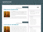 Preview synchronize - FREE HTML CSS JavaScript Template