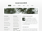 Preview vacantsnowdrift - FREE HTML CSS JavaScript Template