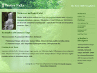 Preview waterfalls - FREE HTML CSS JavaScript Template