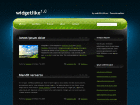 Preview widgetlike - FREE HTML CSS JavaScript Template