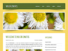 Preview wildflowers - FREE HTML CSS JavaScript Template