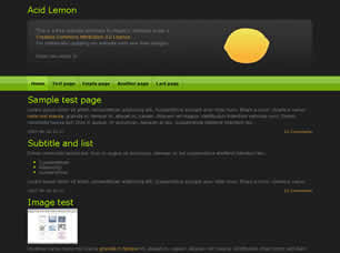 Preview acid lemon - FREE HTML CSS JavaScript Template