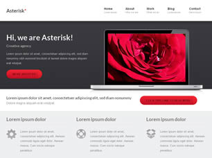 Preview asterisk - FREE HTML CSS JavaScript Template