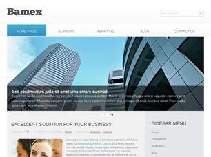 Preview bamex - FREE HTML CSS JavaScript Template