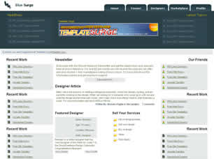 Preview blue surge - FREE HTML CSS JavaScript Template
