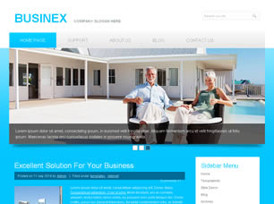 Preview businex - FREE HTML CSS JavaScript Template