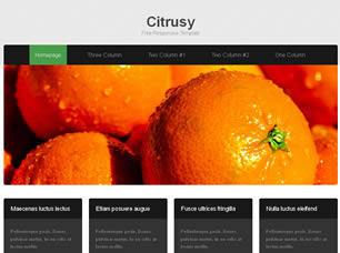 Preview citrusy - FREE HTML CSS JavaScript Template