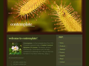 Preview contemplate - FREE HTML CSS JavaScript Template