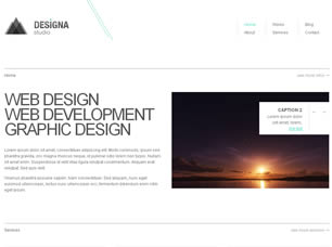 Preview designa studio - FREE HTML CSS JavaScript Template