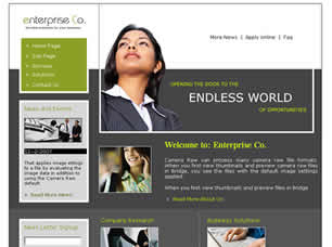 Preview enterprise co - FREE HTML CSS JavaScript Template