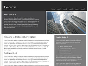 Preview executive - FREE HTML CSS JavaScript Template