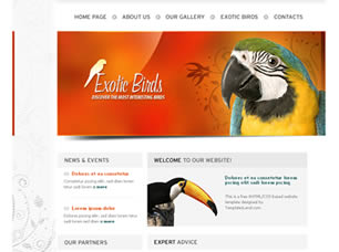 Preview exotic birds - FREE HTML CSS JavaScript Template