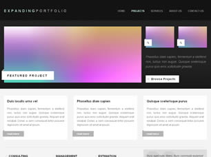 Preview expanding portfolio - FREE HTML CSS JavaScript Template