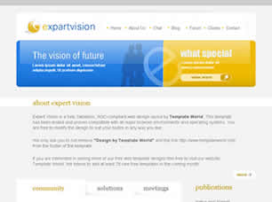 Preview expert vision - FREE HTML CSS JavaScript Template