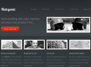 Preview halcyonic - FREE HTML CSS JavaScript Template