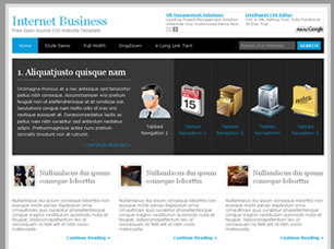 Preview internet business - FREE HTML CSS JavaScript Template