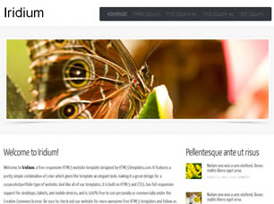 Preview iridium - FREE HTML CSS JavaScript Template