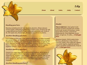 Preview lily - FREE HTML CSS JavaScript Template