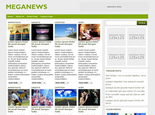 Preview meganews - FREE HTML CSS JavaScript Template