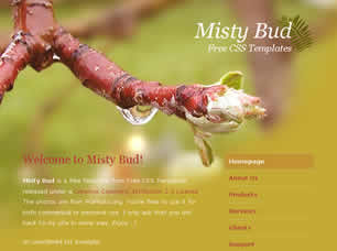 Preview misty bud - FREE HTML CSS JavaScript Template