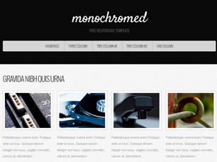 Preview monochromed - FREE HTML CSS JavaScript Template