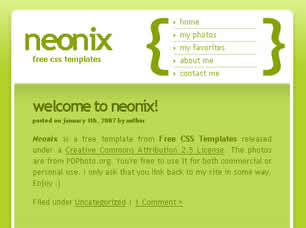 Preview neonix - FREE HTML CSS JavaScript Template