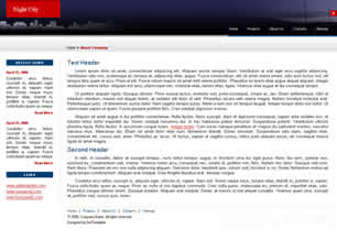 Preview night city - FREE HTML CSS JavaScript Template