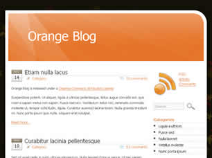 Preview orange blog - FREE HTML CSS JavaScript Template