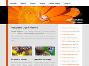 Preview organic rhythm - FREE HTML CSS JavaScript Template
