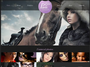 Preview paris clark - FREE HTML CSS JavaScript Template