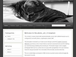 Preview photo art 5 - FREE HTML CSS JavaScript Template