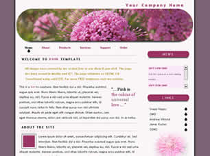 Preview pink - FREE HTML CSS JavaScript Template