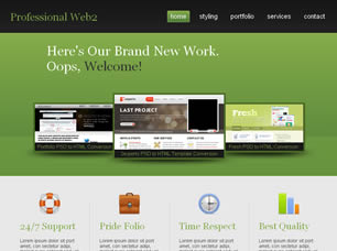 Preview professional web2 - FREE HTML CSS JavaScript Template