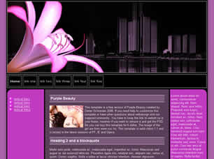 Preview purple beauty - FREE HTML CSS JavaScript Template